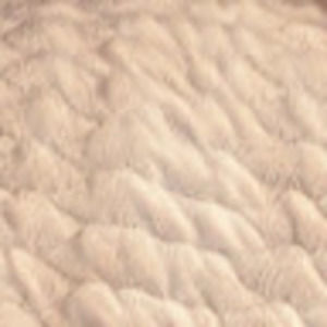 Meet your Posher, Moe